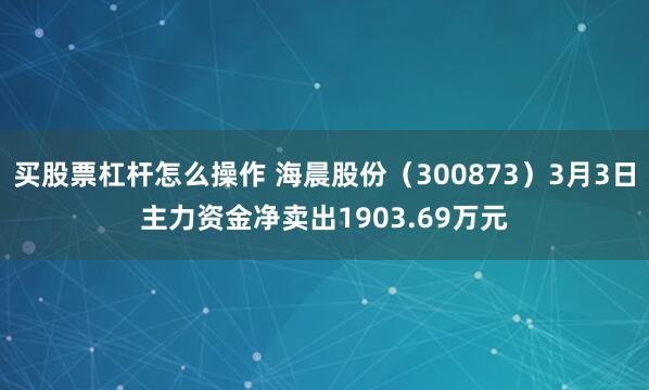 买股票杠杆怎么操作 海晨股份（300873）3月3日主力资金净卖出1903.69万元