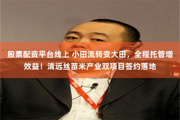 股票配资平台线上 小田流转变大田，全程托管增效益！清远丝苗米产业双项目签约落地