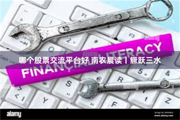 哪个股票交流平台好 南农晨读丨鳜跃三水