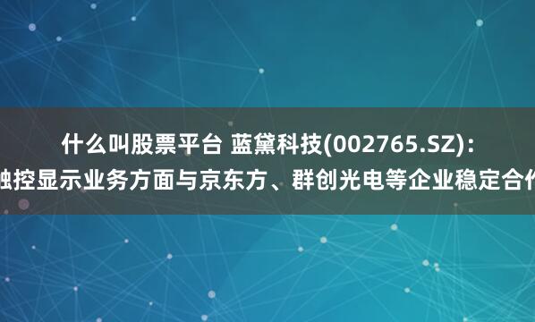 什么叫股票平台 蓝黛科技(002765.SZ)：触控显示业务方面与京东方、群创光电等企业稳定合作