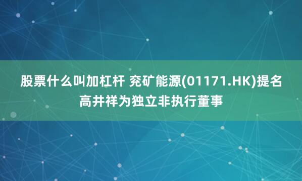 股票什么叫加杠杆 兖矿能源(01171.HK)提名高井祥为独立非执行董事