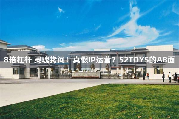 8倍杠杆 灵魂拷问！真假IP运营？52TOYS的AB面
