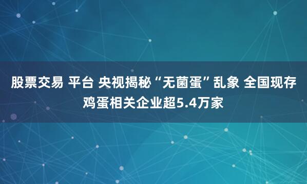 股票交易 平台 央视揭秘“无菌蛋”乱象 全国现存鸡蛋相关企业超5.4万家
