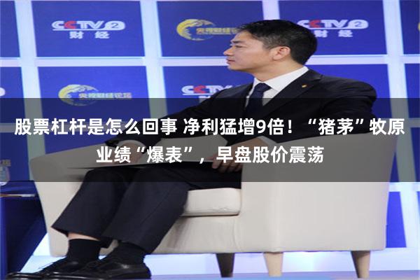 股票杠杆是怎么回事 净利猛增9倍！“猪茅”牧原业绩“爆表”，早盘股价震荡