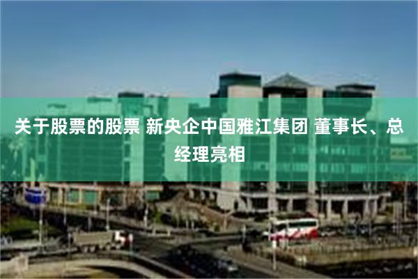 关于股票的股票 新央企中国雅江集团 董事长、总经理亮相