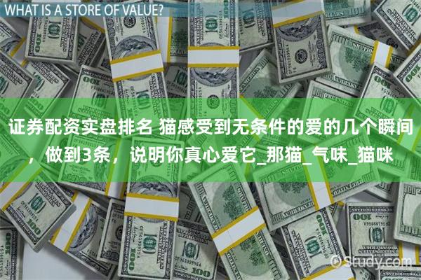 证券配资实盘排名 猫感受到无条件的爱的几个瞬间，做到3条，说明你真心爱它_那猫_气味_猫咪