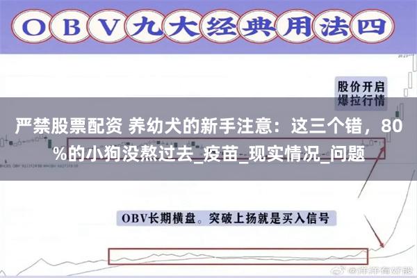 严禁股票配资 养幼犬的新手注意：这三个错，80%的小狗没熬过去_疫苗_现实情况_问题