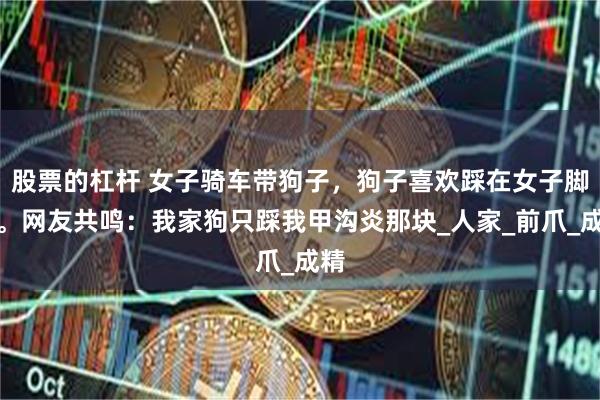股票的杠杆 女子骑车带狗子，狗子喜欢踩在女子脚上。网友共鸣：我家狗只踩我甲沟炎那块_人家_前爪_成精